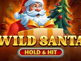 Wild Santa Hold and Hit game thumbnail